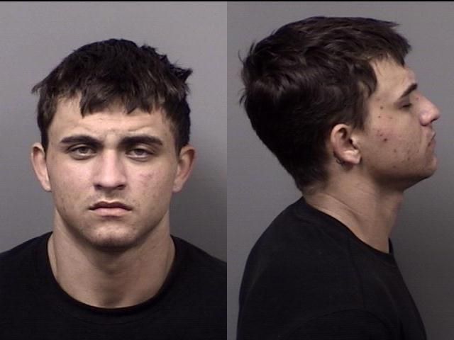 Triston Shaw arrested March 6 on felony charges of fleeing or eluding law enforcement and driving with a suspended license as a habitual offender.